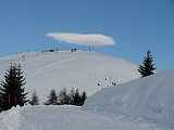 51 Pesce del favonio sul Monte Pora  (1880 m.)